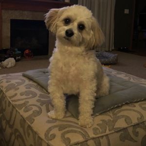 Meet your Posher, Lori